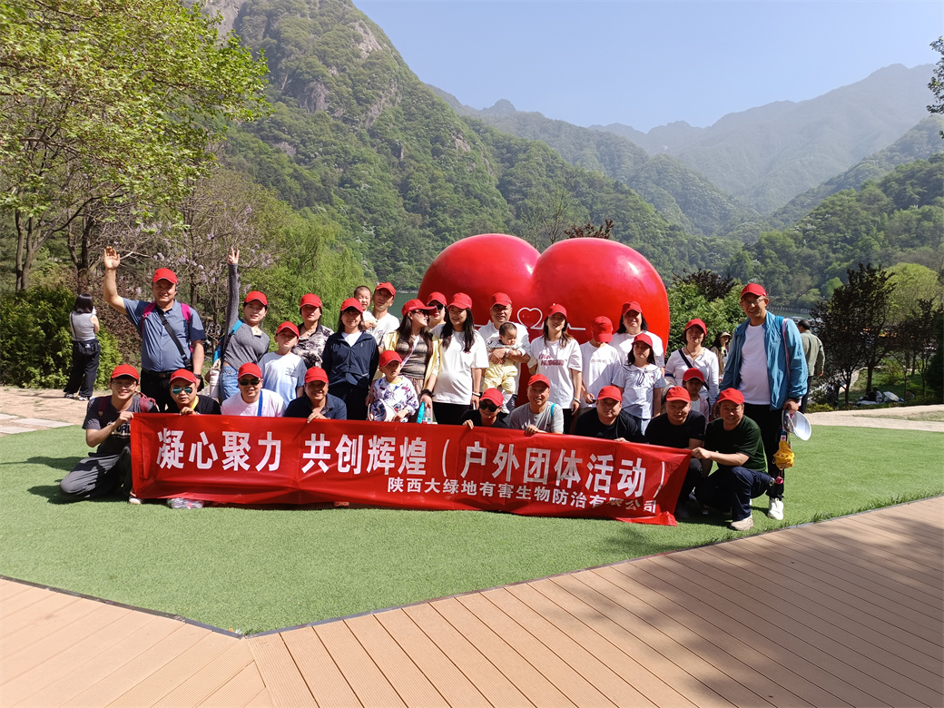 公司团建活动
